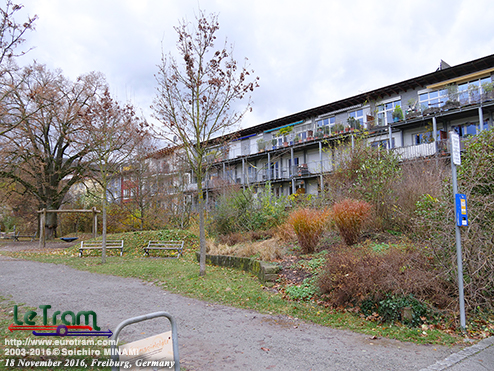 �V���E�C���X�����g�o�[��